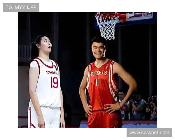 灯泡与姚明的奇妙碰撞:照亮篮球场的光与影